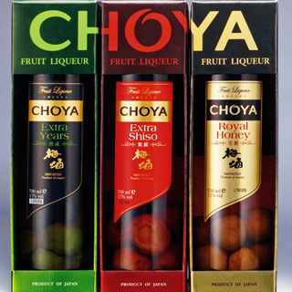CHOYA Extraの画像
